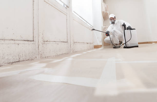 24/7 Emergency Attic Mold Remediation experts in Marshall, IL